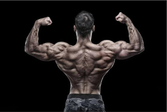 De Top 5 Beste Rugoefeningen - Gymsetz