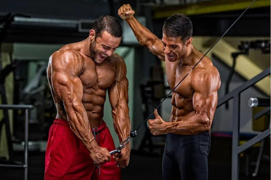 Top 5 Beste Tricepoefeningen - Gymsetz