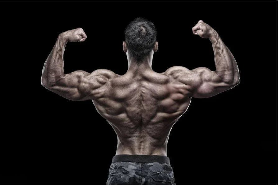 De Top 5 Beste Rugoefeningen - Gymsetz